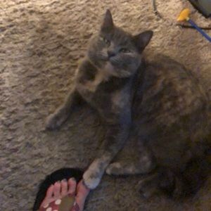 Meet your Posher, Cortney